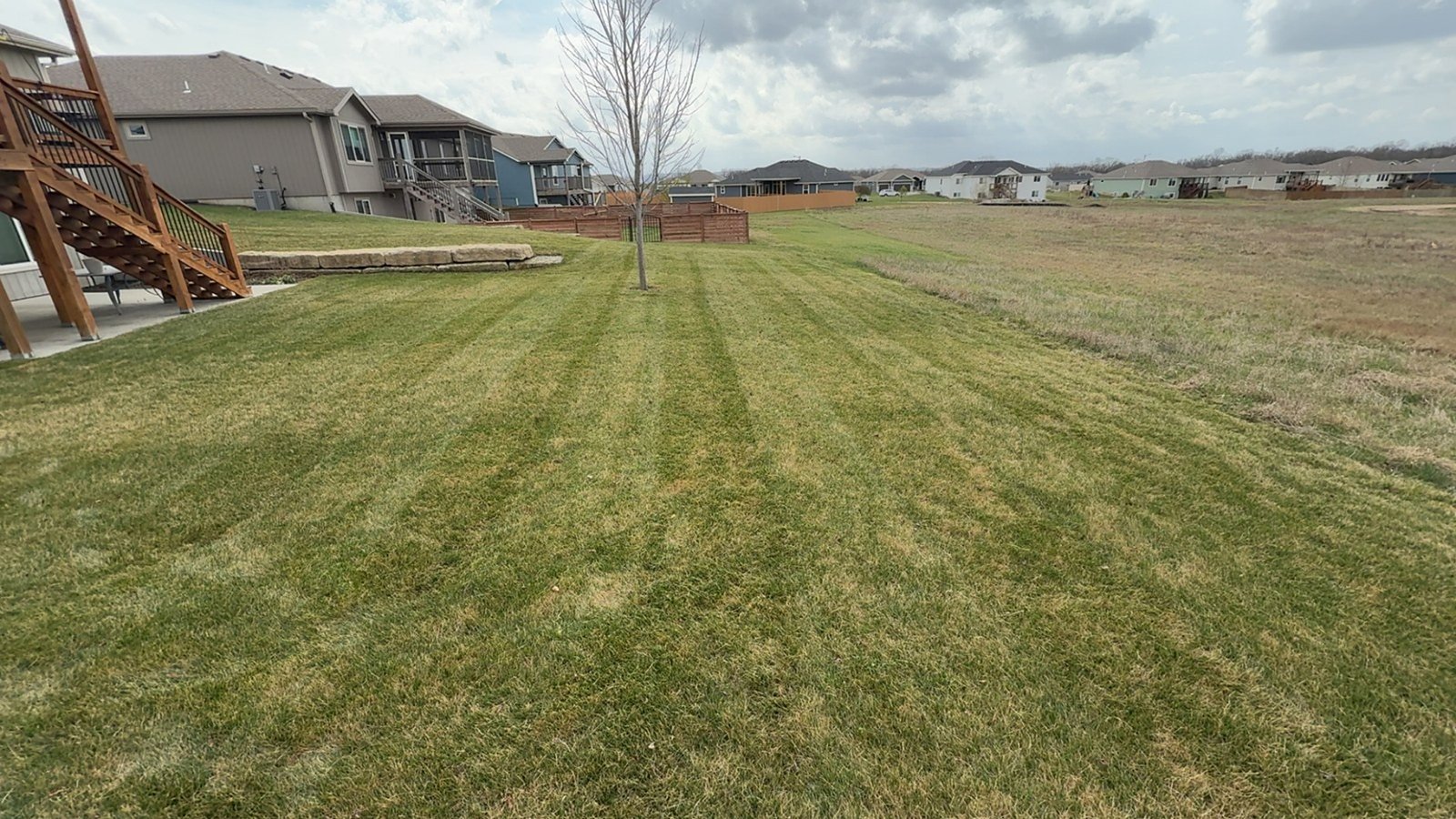 Wide, freshly mowed backyard lawn with light stripes under a cloudy sky, with a deck and neighboring homes in the background